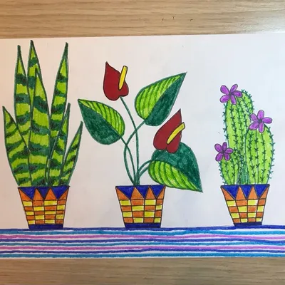 Рисунок комнатные цветы | Легкие рисунки, Детские творческие проекты,  Рисунки