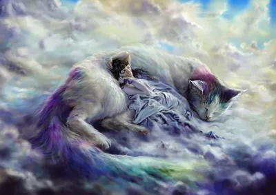 Обои Кошки Спит Фэнтези Волшебные животные Облака Коты сон спящий  Фантастика | Обои с животными, Животные, Спящий кот