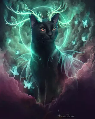 Арт-фэнтези черный кот | Black cat art, Cat artwork, Cat art