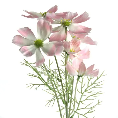 Цветок искусственный Космея, H58 cм, 6в. купить оптом (305629) |  REMECOCLUB.RU