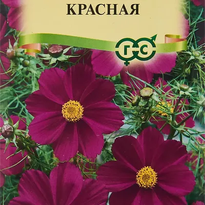 Семена цветов Гавриш космея красный по цене 27 ₽/шт. купить в Ярославле в  интернет-магазине Леруа Мерлен