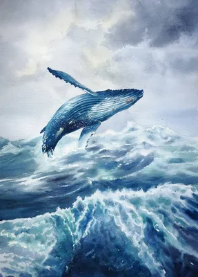 Голубой кит арт - 67 фото