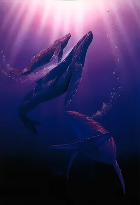 Синий кит арт - 30 фото