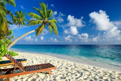 Красивые картинки море пляж пальмы обои