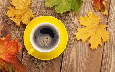 Красивые картинки осень и кофе обои