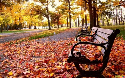 Поздравляем с первым днем ноября — красивые картинки и пожелания по случаю  последнего месяца осени