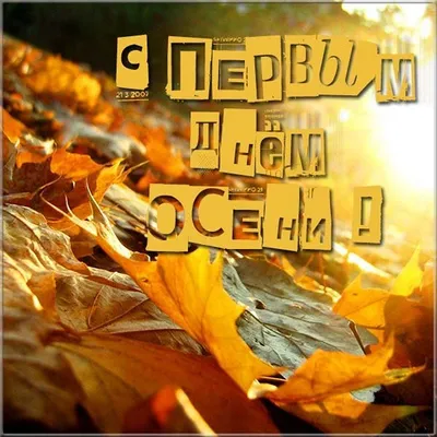 Здравствуй Осень! С Первым Днем Осени! Красивая музыкальная открытка! -  YouTube
