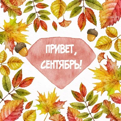 Осенний Листопад Картинки Красивые С Пожеланиями – Telegraph