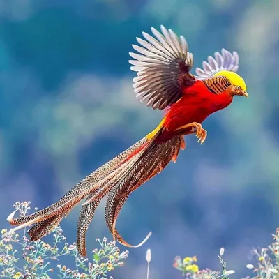Попугаи в тропических лесах: яркие и красивые» — создано в Шедевруме