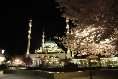 Чечня,красивые мечети,фонтаны,…» — создано в Шедевруме
