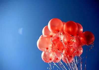 Конспект НОД по рисованию «Красивые воздушные шары» в младшей группе (1  фото). Воспитателям детских садов, школьным учителям и педагогам - Маам.ру