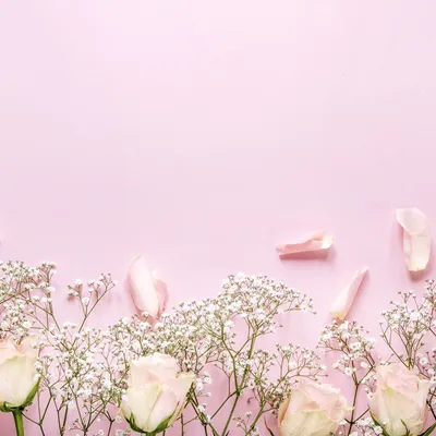 Красивый цветочный фон сушеных орхидеи цветов в нежных пастельных тонах  Место для текста, дизайн поздравительных открыток Стоковое Фото -  изображение насчитывающей карточка, подарок: 163731318