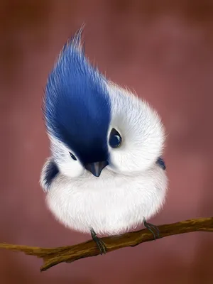 Красивые картинки животных и птиц обои
