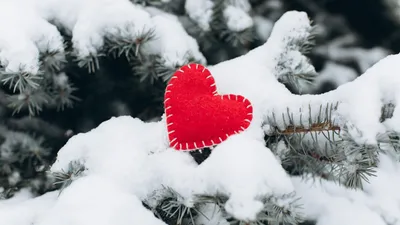 Люблю зиму (37 фото) - 37 фото