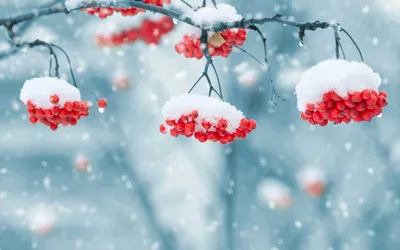 Как сделать красивые фото зимой | theGirl
