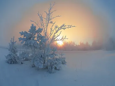 Зима в сердце на душе - 66 фото