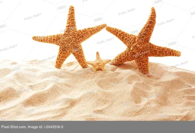 Красивые морские звёзды под водой Стоковое Изображение - изображение  насчитывающей поверхность, волна: 88566801
