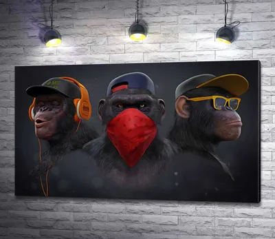 Симпатичные обезьяны, милые стекла макаки, смешная обезьяна живут в Natu  Стоковое Изображение - изображение насчитывающей семья, бобра: 98836049