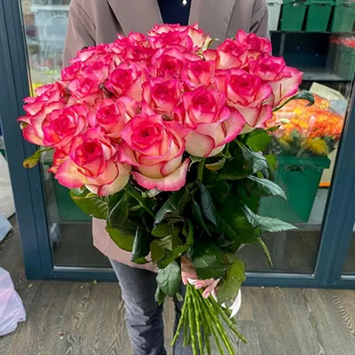 Алые розы (50 см) по цене 280 ₽ - купить в RoseMarkt с доставкой по  Санкт-Петербургу