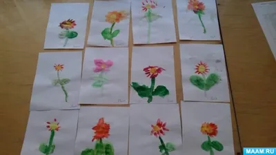 Beautiful flower set. Красивый цветочный набор. PNG. | Цветочный, Цветочные  иллюстрации, Милые рисунки