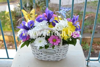 Картинки по запросу обои на рабочий стол весенние цветы | Цветы, Весенние  цветы, Весна