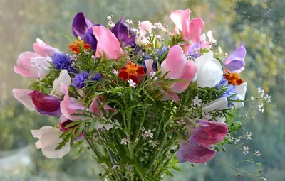 Красивые Весенние Цветы В Вазах Фотография, картинки, изображения и  сток-фотография без роялти. Image 28859584