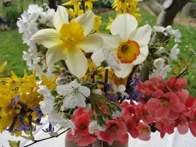Весенние цветы на 8 марта (62 фото)