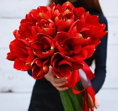Цветок миддлемист - блог Florina Харьков