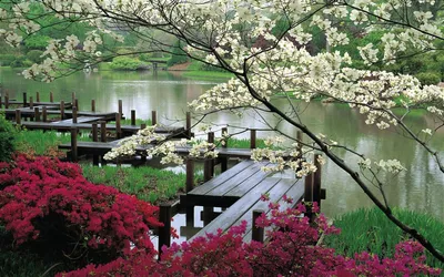 Весна - красота природы!» — создано в Шедевруме