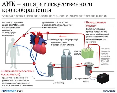 Санбюллетень \"Кровообращение\" (анатомический плакат) (ID#925258475), цена:  180 ₴, купить на Prom.ua