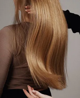 anastas9645 - ФРАНШИЗА-ЛАМИНИРОВАНИЕ ВОЛОС ⠀ 📍ЛАМИНИРОВАНИЕ волос  подразумевает собой нанесение особых составов, покрывающих волосы тонкой  плёнкой. ⠀ 📍С помощью данной франшизы вы узнаете много полезной информации  о процедуре и сможете экономить деньги
