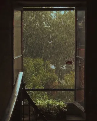 Купить картину Летний дождь на петербургской улице - Галерея Кустановича  +79119266265 | Галерея Кустановича