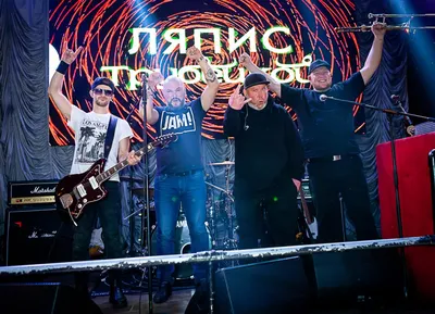 Покажи билет!\": бывший лидер группы \"Ляпис Трубецкой\" Сергей Михалок ударил  зрителя на своем концерте (ВИДЕО) | Mixnews
