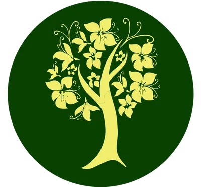 Лиственные деревья | Питомник лиственных деревьев | Название лиственных  пород деревьев