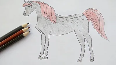 аравийский карандаш лошади иллюстрация штока. иллюстрации насчитывающей  текстура - 688688