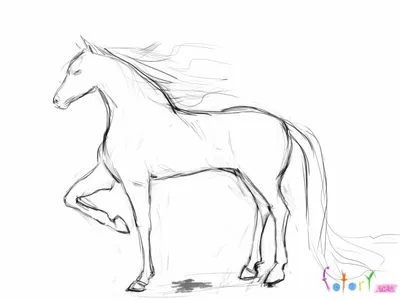 Рисунок простым карандашом. Лошадь. | Пикабу