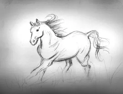Рисунок карандашом, лошадь встала на…» — создано в Шедевруме