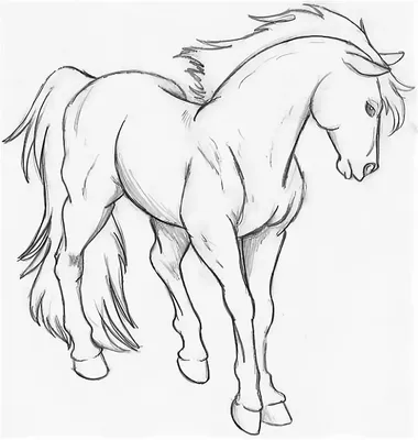 Картинки Нарисованной Лошади Карандашом – Telegraph