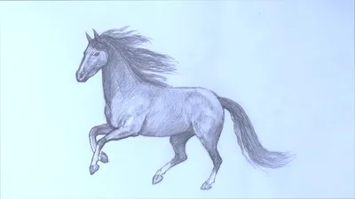Рисунки лошадей для срисовки (100 фото) • Прикольные картинки и позитив