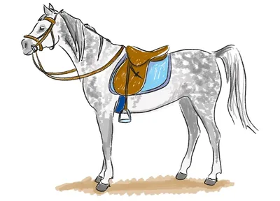 Рисуем скетчи! Как нарисовать лошадь простым карандашом! #Dari_Art - YouTube