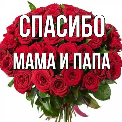 Новосибирск подключился к всероссийской акции «Папа и мама, спасибо за жизнь!»  — Сотвори Милость