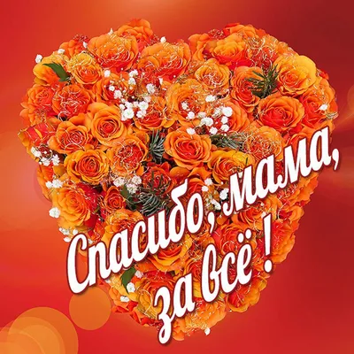 Акция «Мама, папа, спасибо за жизнь!» » Железногорская епархия