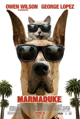 Мармадюк (2022) - «– Человеку мусор, собаке – сокровища. (с) Мультфильм  Мармадюк 2022 – рейтинг 3.7 на кинопоиске. » | отзывы