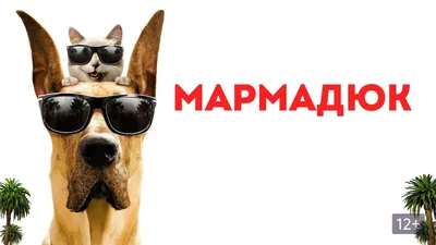 Мармадюк» США #мультфильм #комедия #приключения Легендарный кинолог  пытается сделать из недисциплинированного Мармадюка первого немецкого… |  Instagram