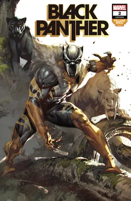 Black Panther: 6 Marvel Comics That Could Inspire the New Game - IGN