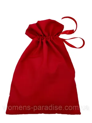 Дед мороз несёт мешок с подарками…» — создано в Шедевруме