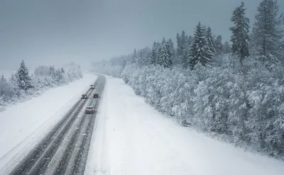 ПРОГНОЗ | Эстонию снова ждут метель и морозы - Погода