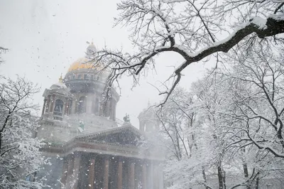 Сильный снег и метель ожидают москвичей 11 января :: Новости :: ТВ Центр