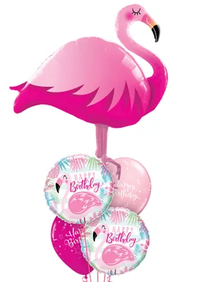 Обои Фламинго, милые животные, розовый, Flamingo, cute animals, pink,  Животные #4552