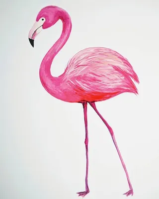 Милый фламинго, прорисовка, движение, …» — создано в Шедевруме